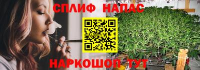 a pvp Дубна